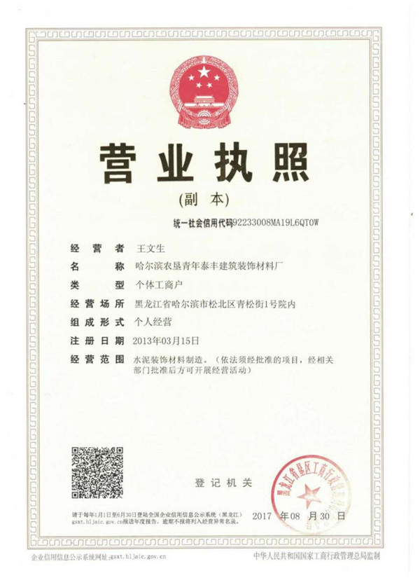泰丰青年执照